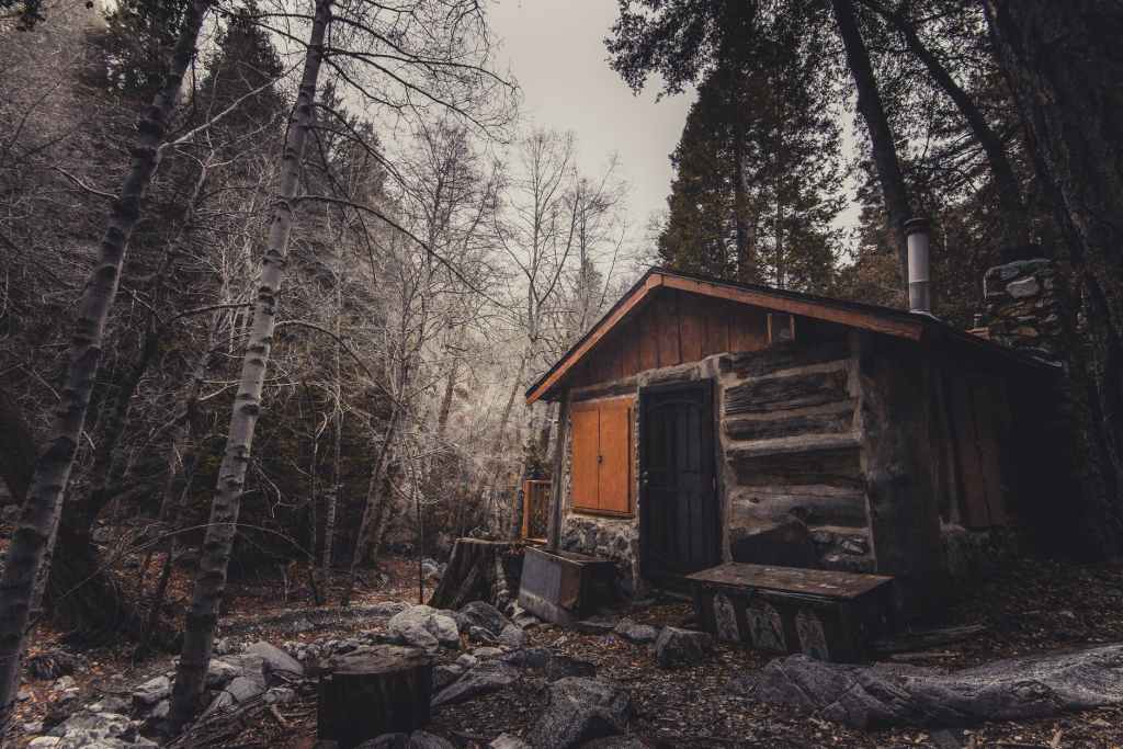 Cabin in the&nbsp;Woods